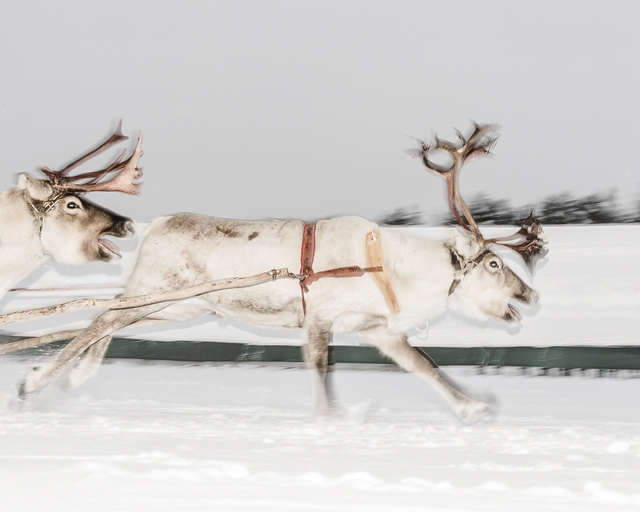 Jokkmokk, Norrbotten