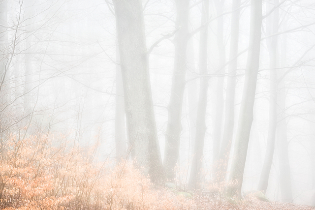 Lackarbäck, Mölndal