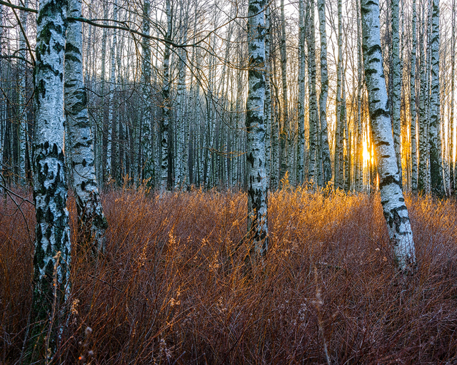 Gunnebo Kulturreservat, Mölndal