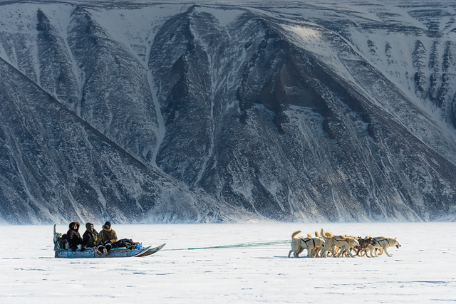 Dog sledding in Greenland.