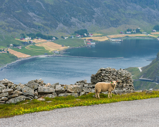Vestkapp, Sogn og Fjordane, Norge
