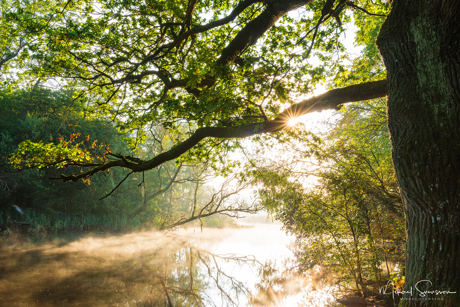 Ståloppet, Mölndal