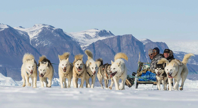 Hundspann i Grönland