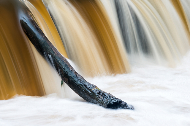 Lärjeån, Göteborg