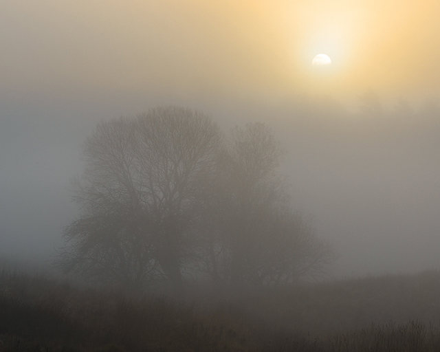 Torrekulla, Mölndal