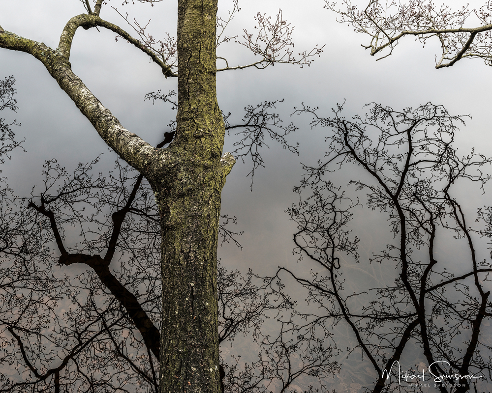 Blacktjärn, Delsjöområdet.