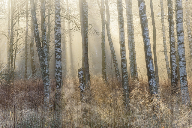 Gunnebo Kulturreservat, Mölndal. Foto av Mikael Svensson