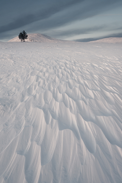 Valdalsfjellet, Hedmark fylke, Norge