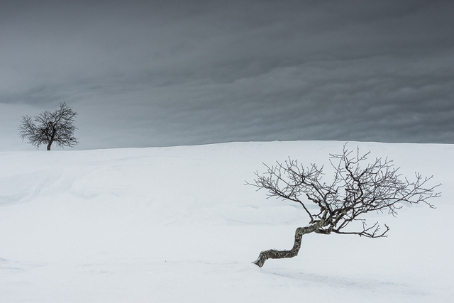 Långfjället, Grövelsjöfjällen, Dalarna
