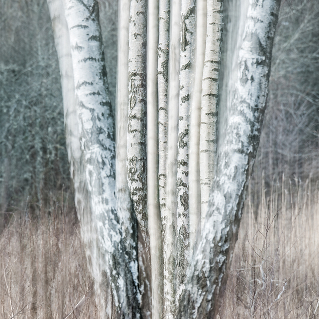 Rådasjön Naturreservat, Härryda kommun