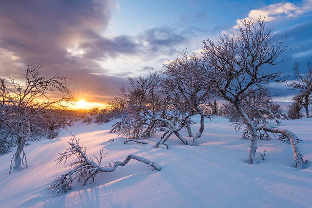 Lövåsen, Grövelsjöfjällen, Dalarna