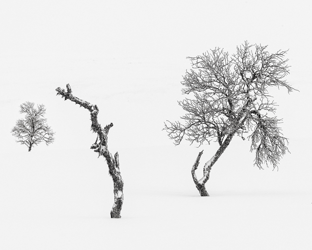 Långfjället, Lövåsen