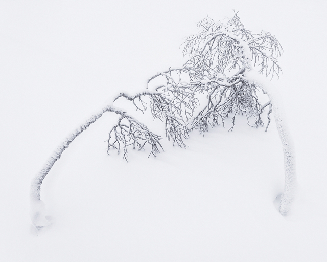 Långfjället, Dalarna