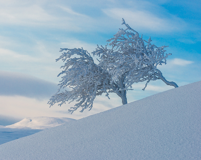 Grövelsjöfjällen, Dalarna