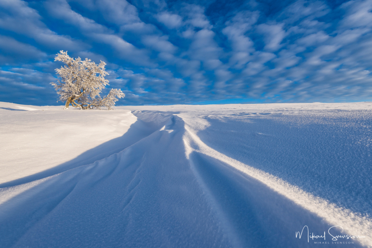 Långfjället, Grövelsjöfjällen. Foto: Mikael Svensson, www.mikaelsvensson.com