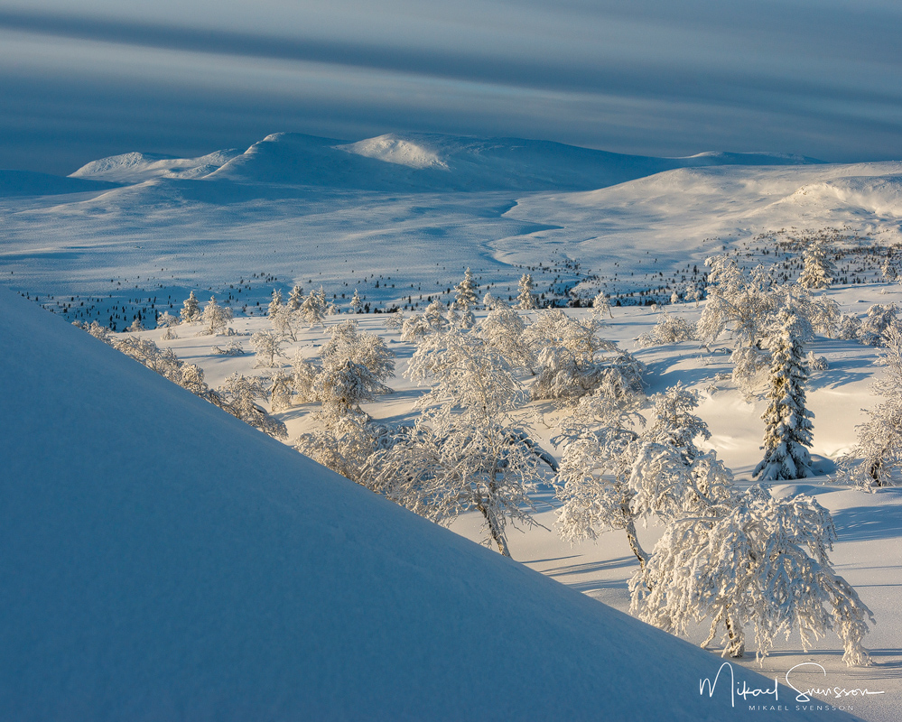 Grövelsjöfjällen, Dalarna. Foto: Mikael Svensson, www.mikaelsvensson.com