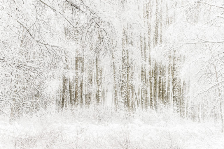 Gunnebo Kulturreservat, Mölndal. Foto: Mikael Svensson, www.mikaelsvensson.com