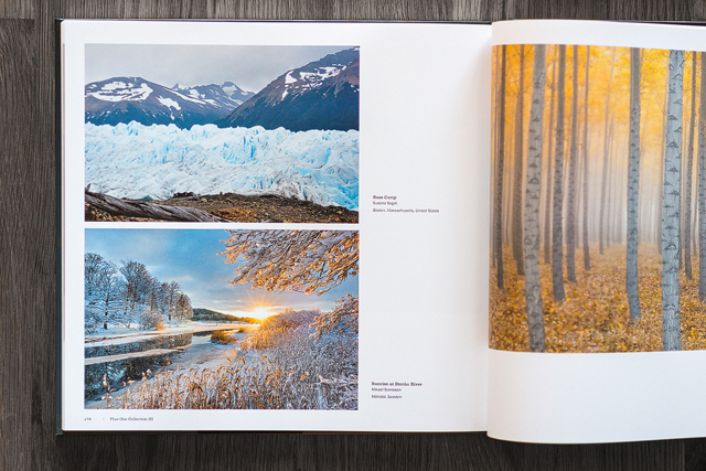 Plus One Collection III