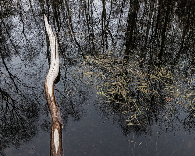 Änggårdsbergen, Göteborg