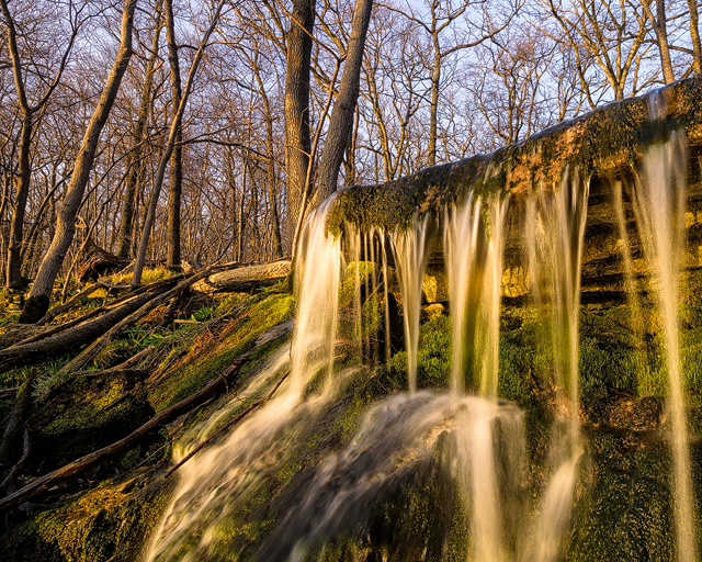Västerplana storäng Naturreservat. Foto: Mikael Svensson