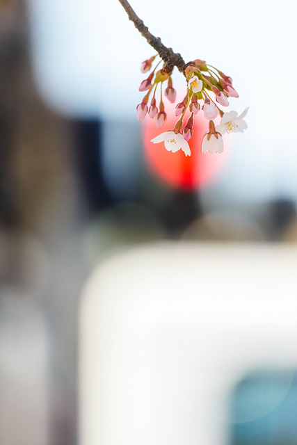 Järntorget, Göteborg. Foto: Mikael Svensson