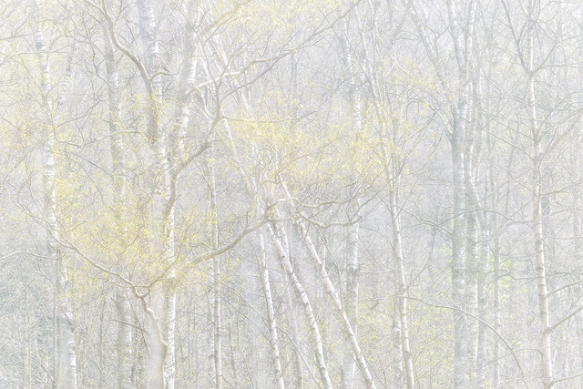 Skatås, Göteborg. Foto: Mikael Svensson