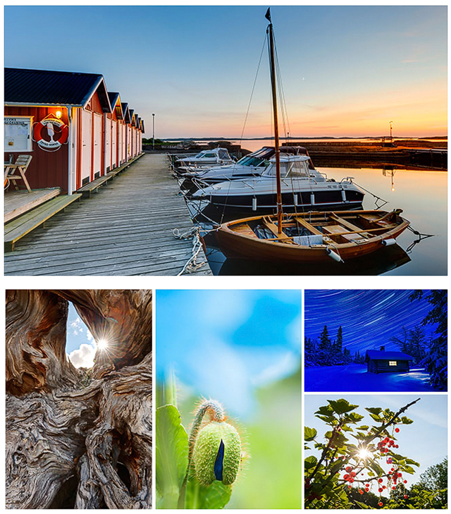 Experten på lysande naturbilder