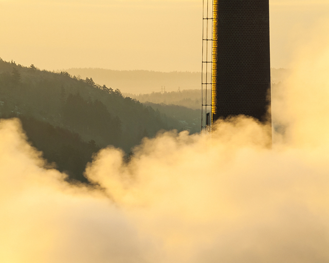 Papyrus, Mölndal. Foto: Mikael Svensson