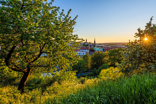 Skansen Kronan, Göteborg. Foto: Mikael Svensson