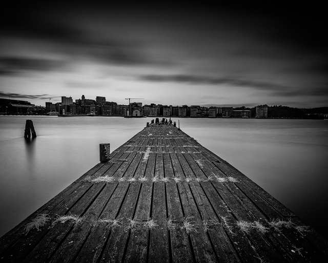 Fiskhamnen, Göteborg. Foto: Mikael Svensson