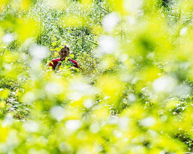 Lång-DM i orientering, Mölndal. Foto: Mikael Svensson