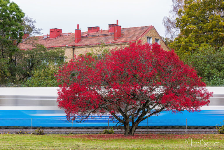 Delsjövägen, Göteborg.