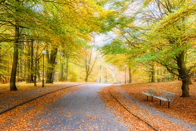 Slottsskogen, Göteborg.
