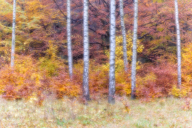 Lackarebäck, Mölndal