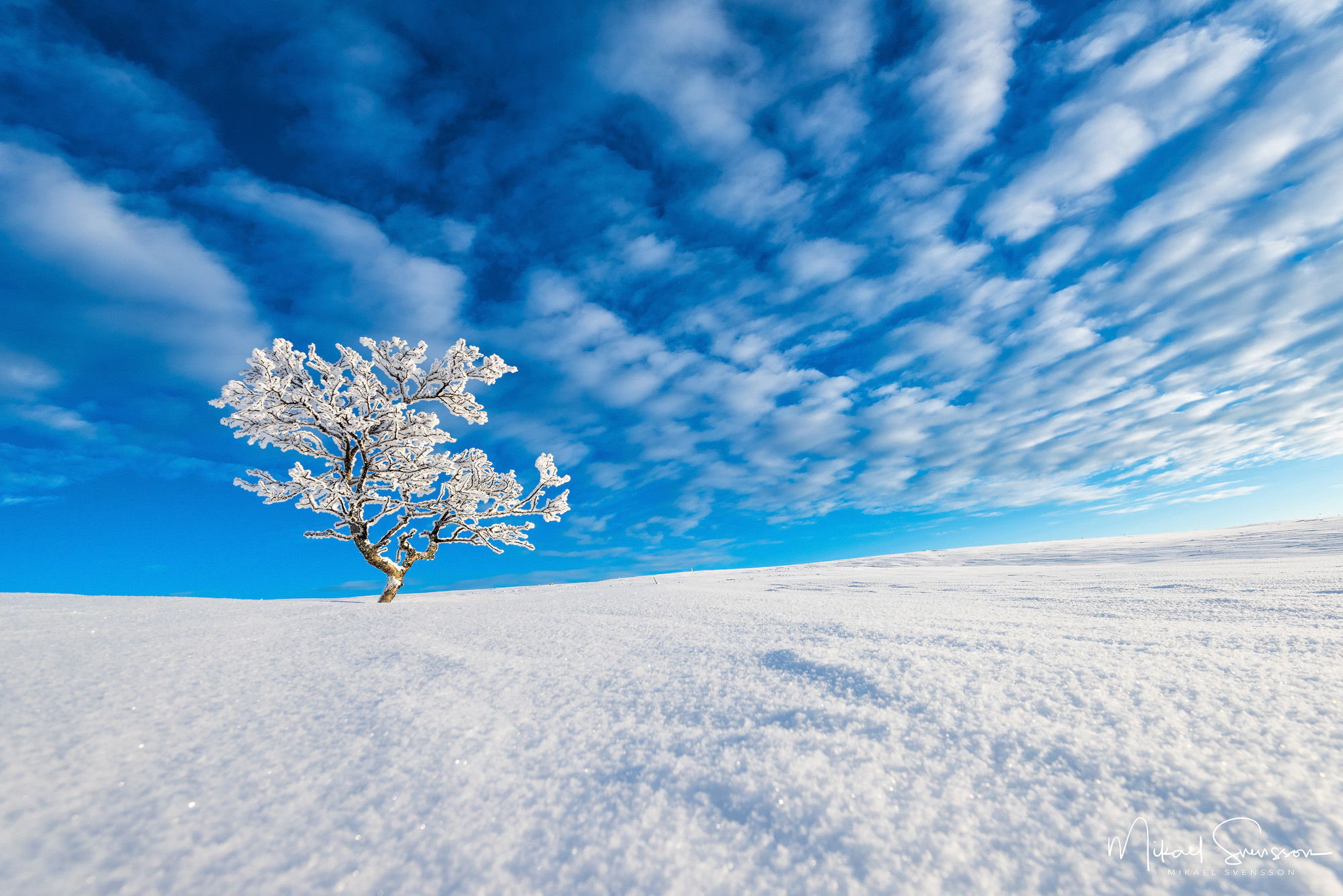 Långfjället, Grövelsjöfjällen, Dalarna. Foto: Mikael Svensson