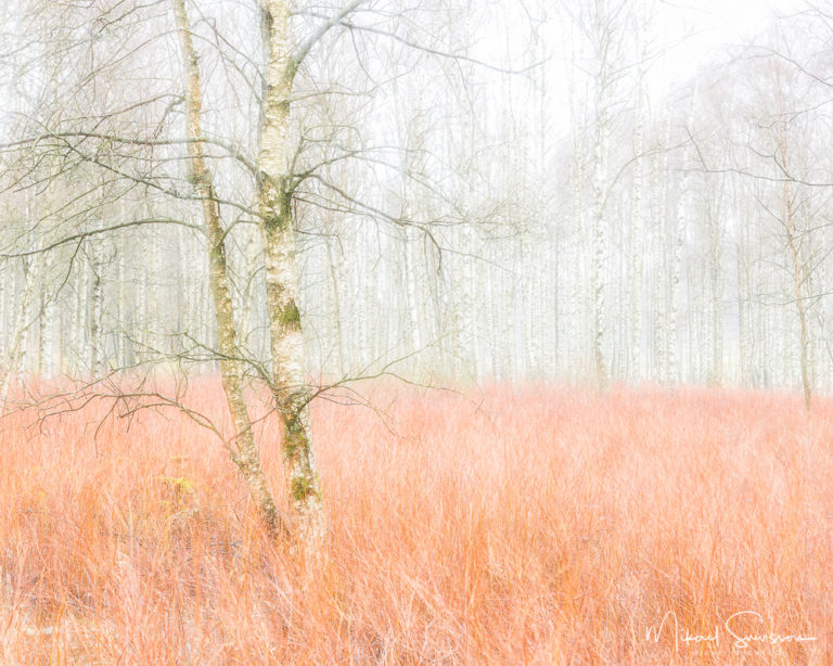 Gunnebo Kulturreservat, Mölndal. Foto: Mikael Svensson, www.mikaelsvensson.com