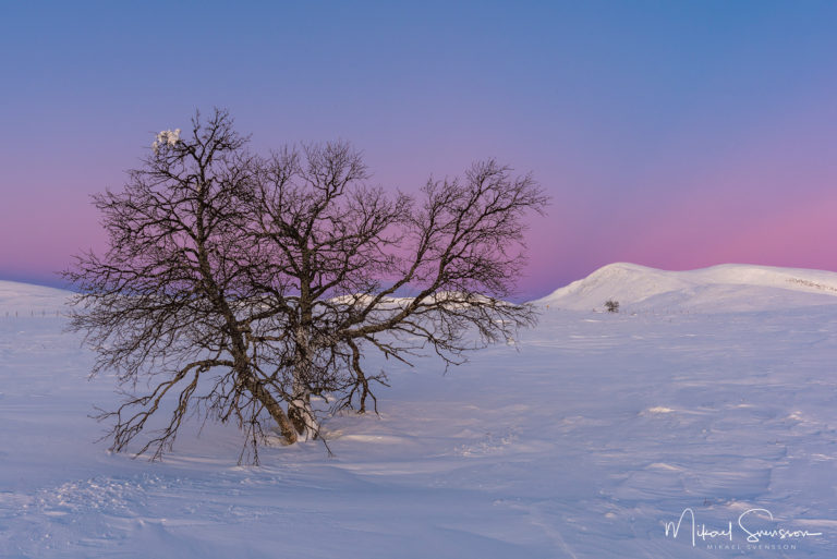 Grövelsjöfjällen, Dalarna. Foto: Mikael Svensson, www.mikaelsvensson.com