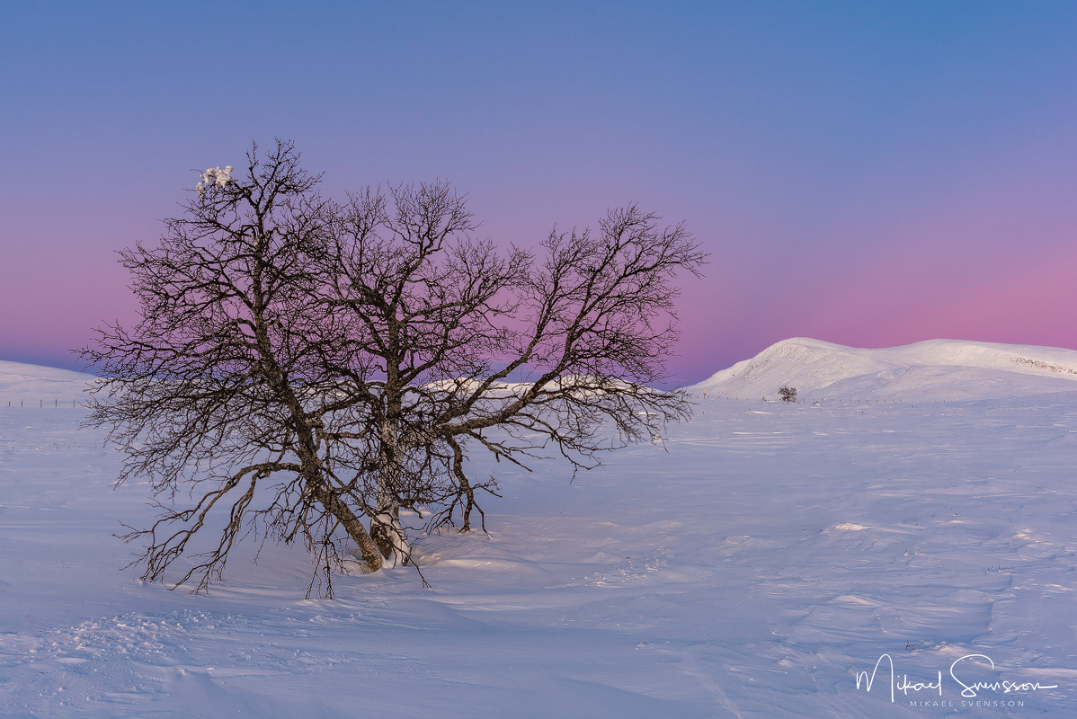 Grövelsjöfjällen, Dalarna. Foto: Mikael Svensson, www.mikaelsvensson.com