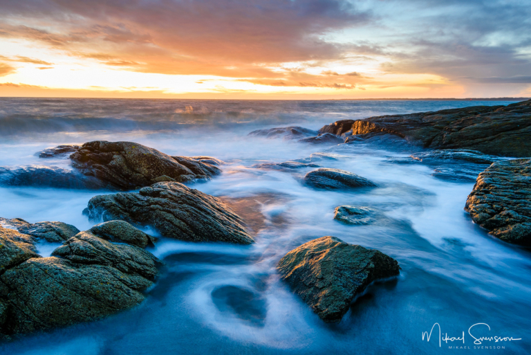 Näsbokrok, Halland. Foto: Mikael Svensson, www.mikaelsvensson.com