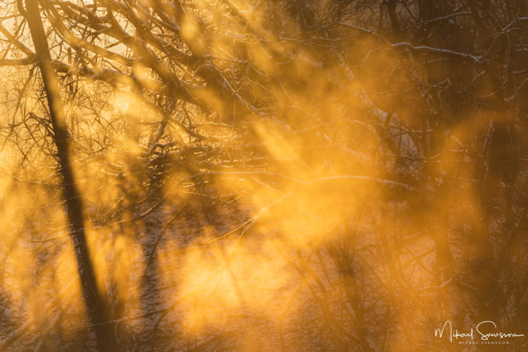 Dimma vid Mölndalsån, Mölndal.