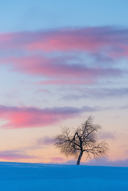 Långfjället, Dalarna.