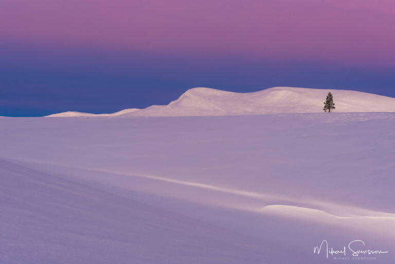 Gryning vid Salsfjellet, Norge. Foto: Mikael Svensson, www.mikaelsvensson.com