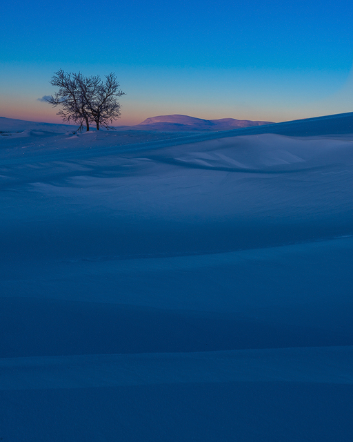 Långfjället, Dalarna.