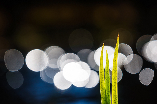Tjolöholm, Halland. Foto: Mikael Svensson