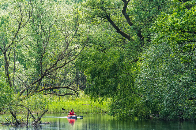 Ståloppet, Mölndalsån, Mölndal.