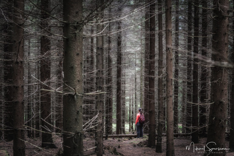 Delsjöområdet, Göteborg. Foto: Mikael Svensson, www.mikaelsvensson.com