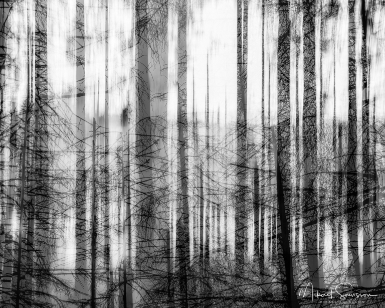 Delsjöområdet, Göteborg.