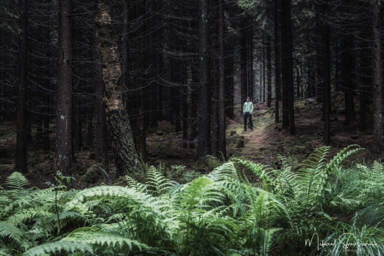 Delsjöområdet, Göteborg. Foto: Mikael Svensson, www.,mikaelsvensson.com