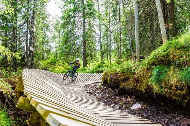 Sälen Bikepark, Dalarna. Foto: Mikael Svensson