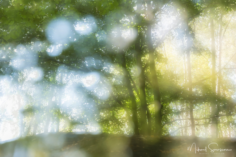 Åbykullen, Mölndal. Foto: Mikael Svensson